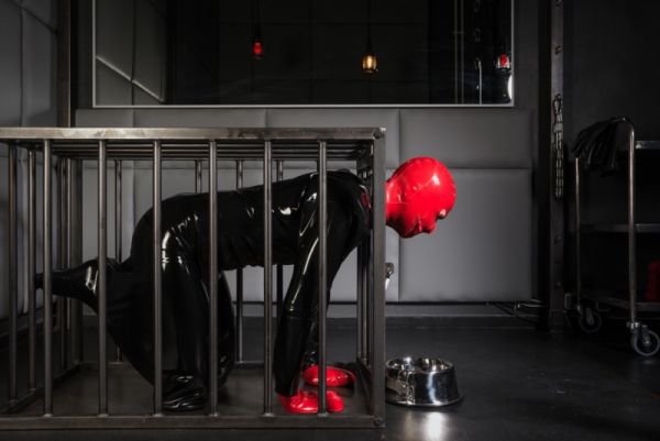 SAR DogSuit the original mit langem Arm aus Latex