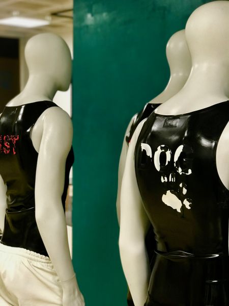 Lettering in Bleachers-Style: DOG with PAW