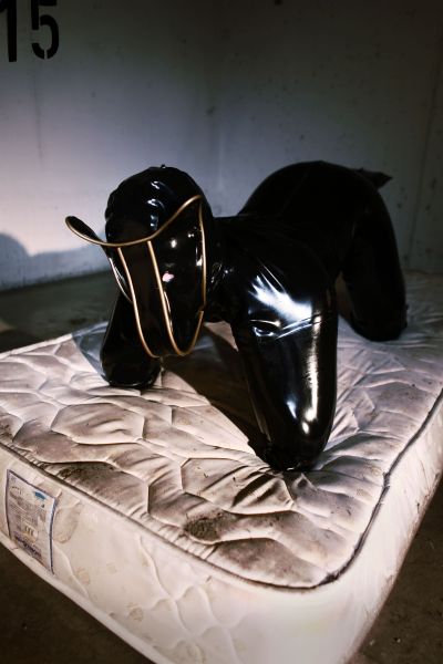 Latex DogSuit "the original"